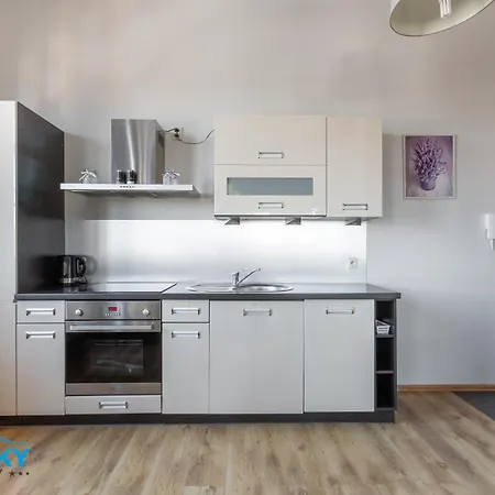 Blue Sky - W Centrum, Blisko Deptaka, Restauracji I Atrakcji Karpacza - Obrońców Pokoju 1d Apartament *