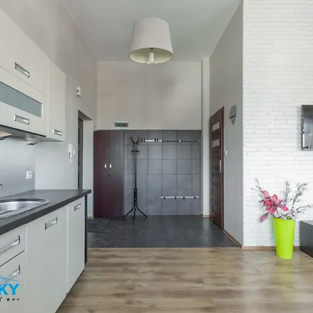 Blue Sky - W Centrum, Blisko Deptaka, Restauracji I Atrakcji Karpacza - Obroncow Pokoju 1d *