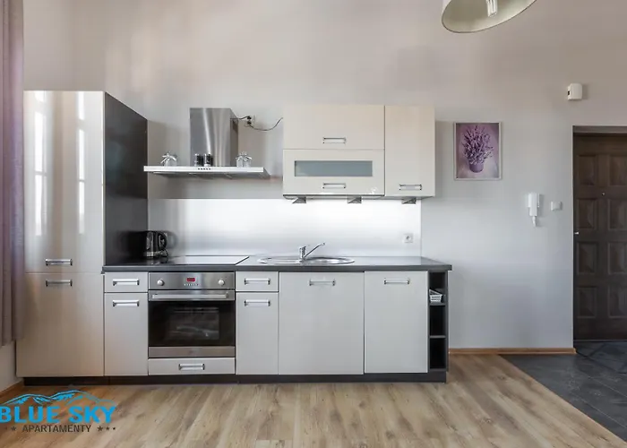 Blue Sky - W Centrum, Blisko Deptaka, Restauracji I Atrakcji Karpacza - Obroncow Pokoju 1d Appartement *